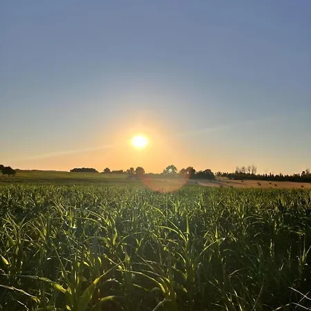 Le Chant Du Jau Hébergement de vacances Beaumont (Vienne)