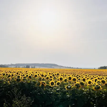 Hébergement de vacances Le Chant Du Jau